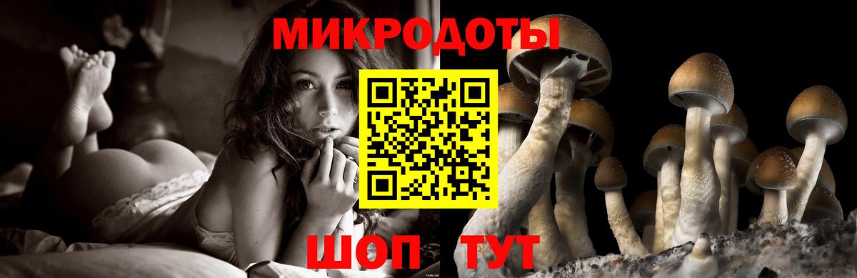 Югорск  Псилоцибиновые грибы GOLDEN TEACHER  Псилоцибиновые грибы Psilocybe  Вход с VPN 